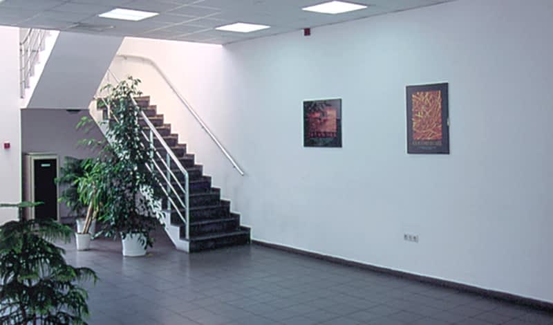 Goodyear Lastikleri T.A.Ş.